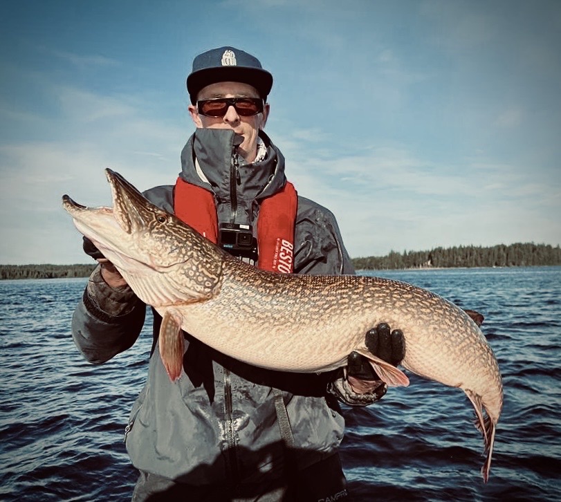 d01e4ebf-6286-4854-bb11-242c6a12b6a9 Large