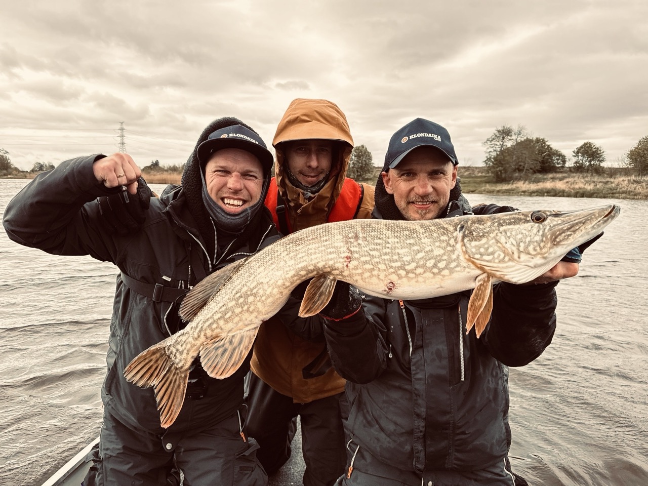 e2162ec4-7e78-4faf-9ea0-f16c9afac0ee Large